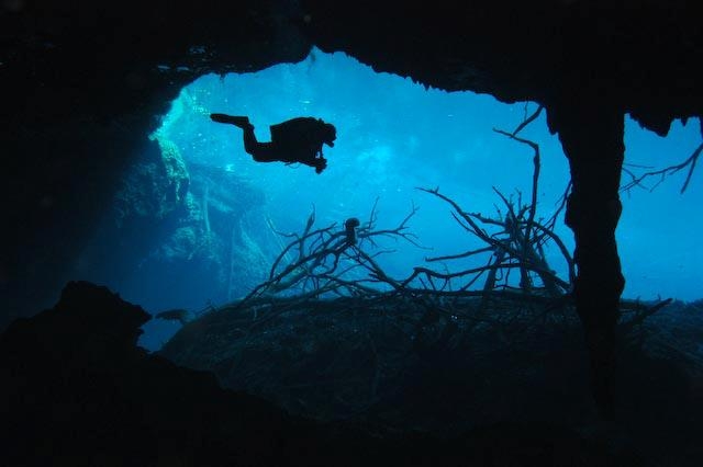 Diving in Car Wash 
